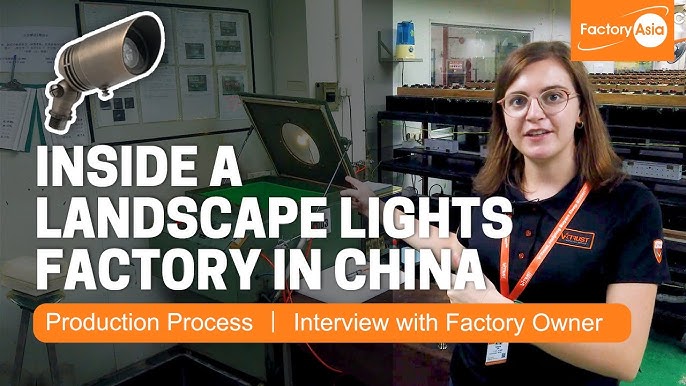 Tree Spot Lighting industry insight