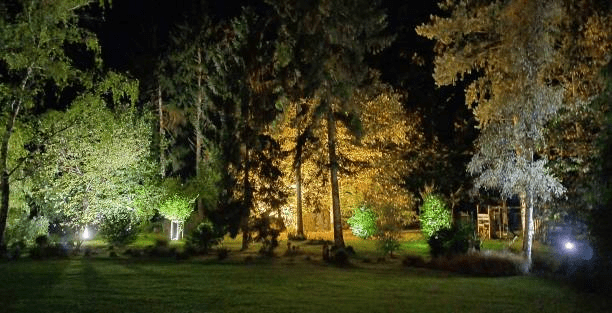 Tree Spot Lighting industry insight