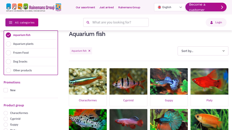 Tropical aquarium fish wholesale