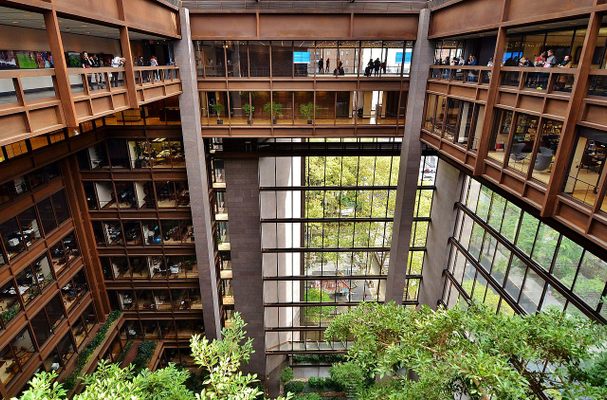 Tropical Forest Products