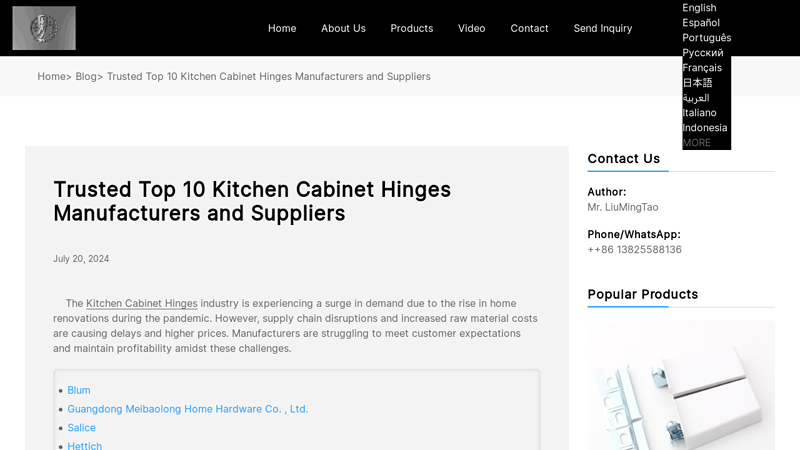 Trusted Top 10 Kitchen Cabinet Hinges Manufacturers and Suppliers