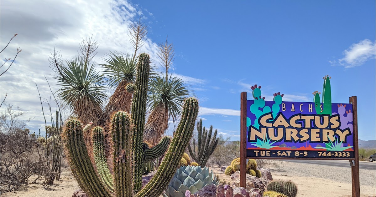 Tucson Wholesale Nursery