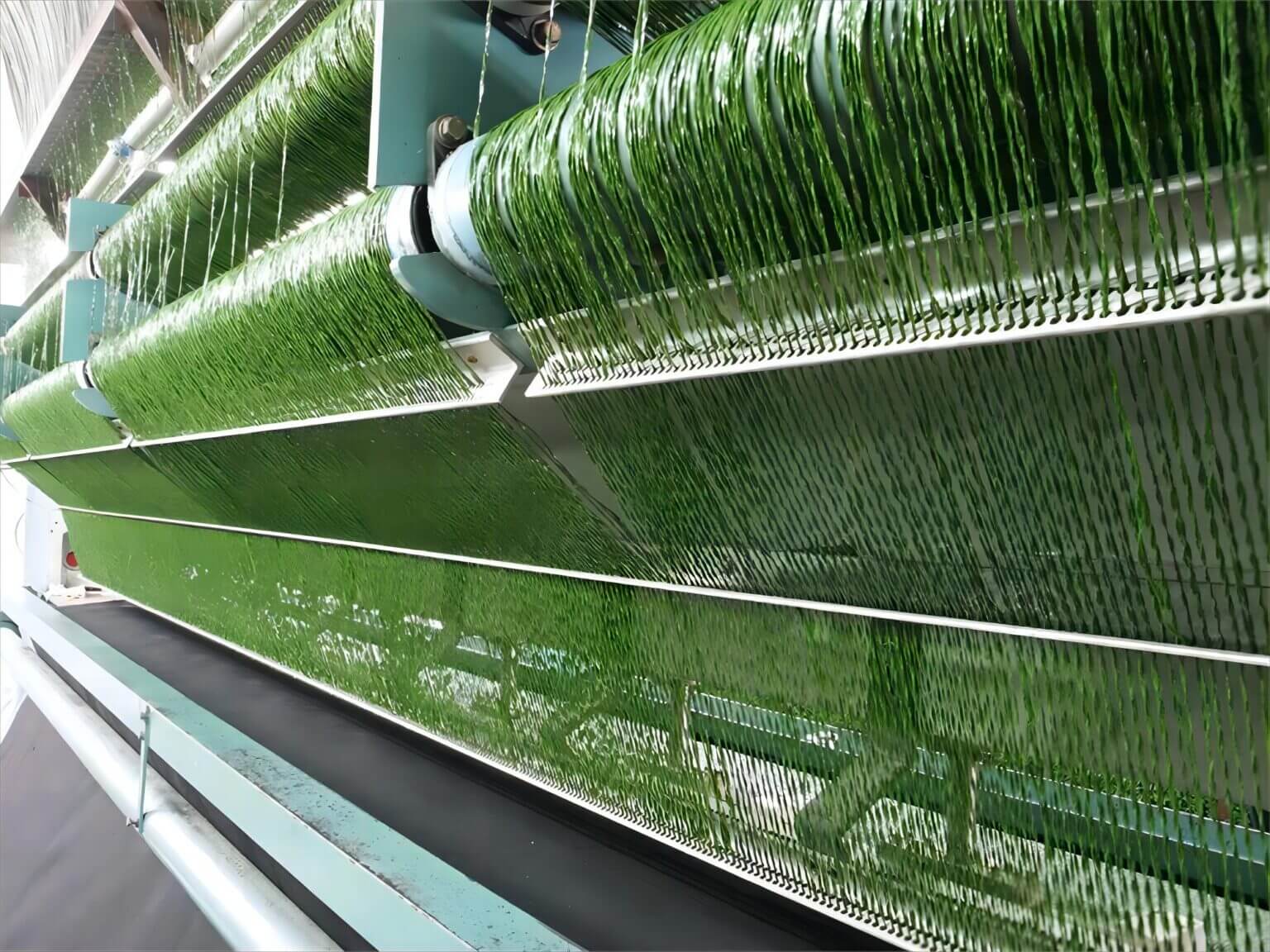 Turf Grass industry insight