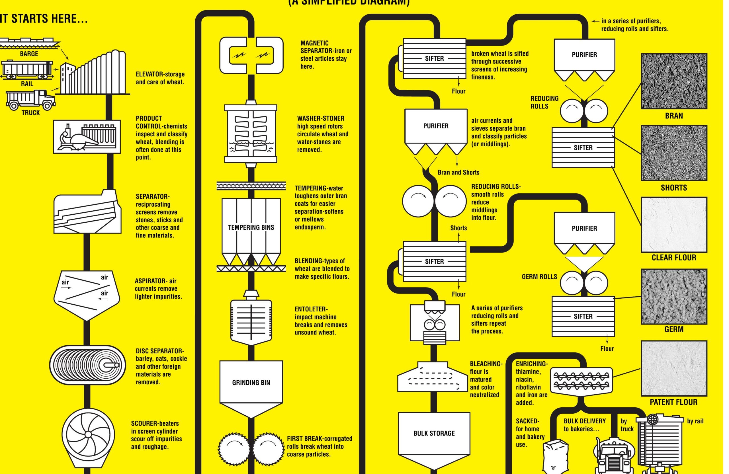 Type 55 Flour industry insight