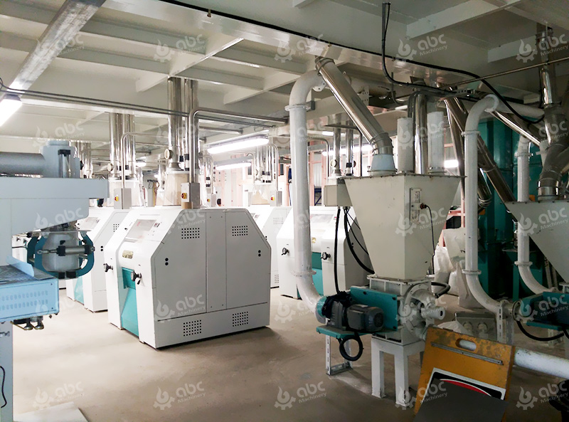 Type 55 Flour industry insight