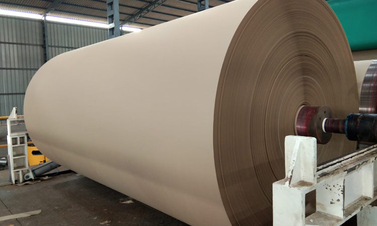 Unwaxed Butcher Paper industry insight