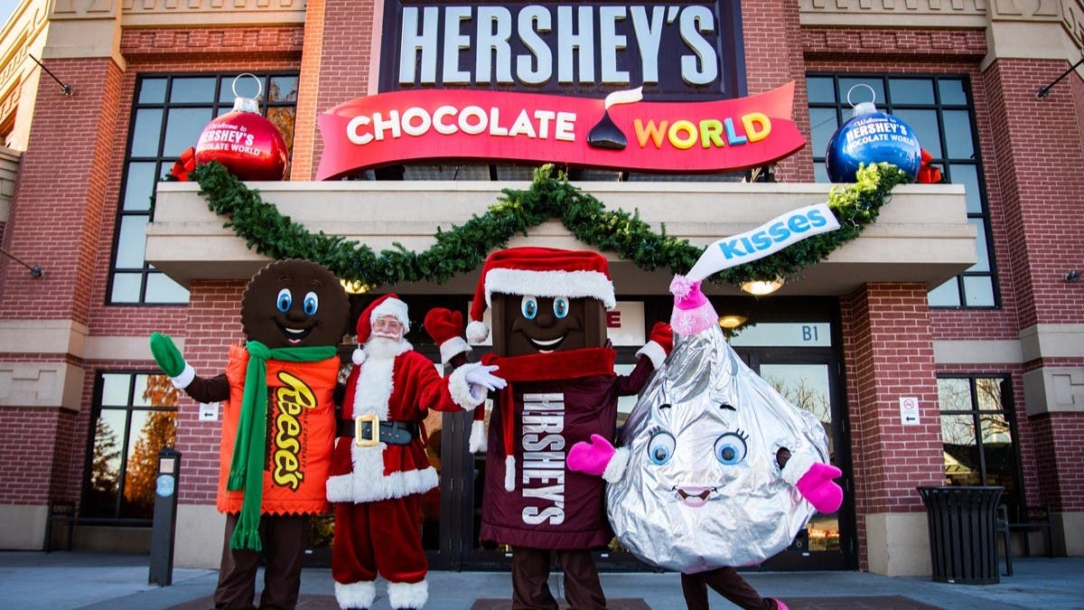 Unwrap Your Chocolate Adventure