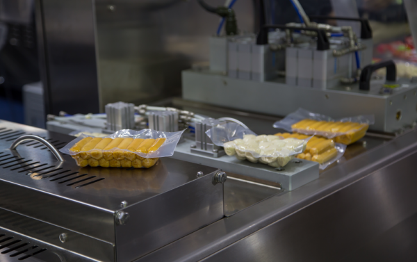 Vacuum Meal Sealers industry insight