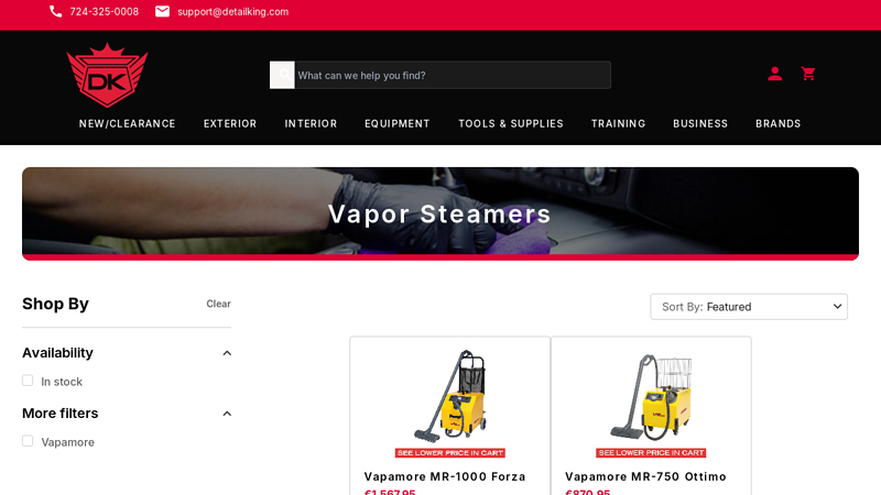 Vapor Steamers for Car Detailing