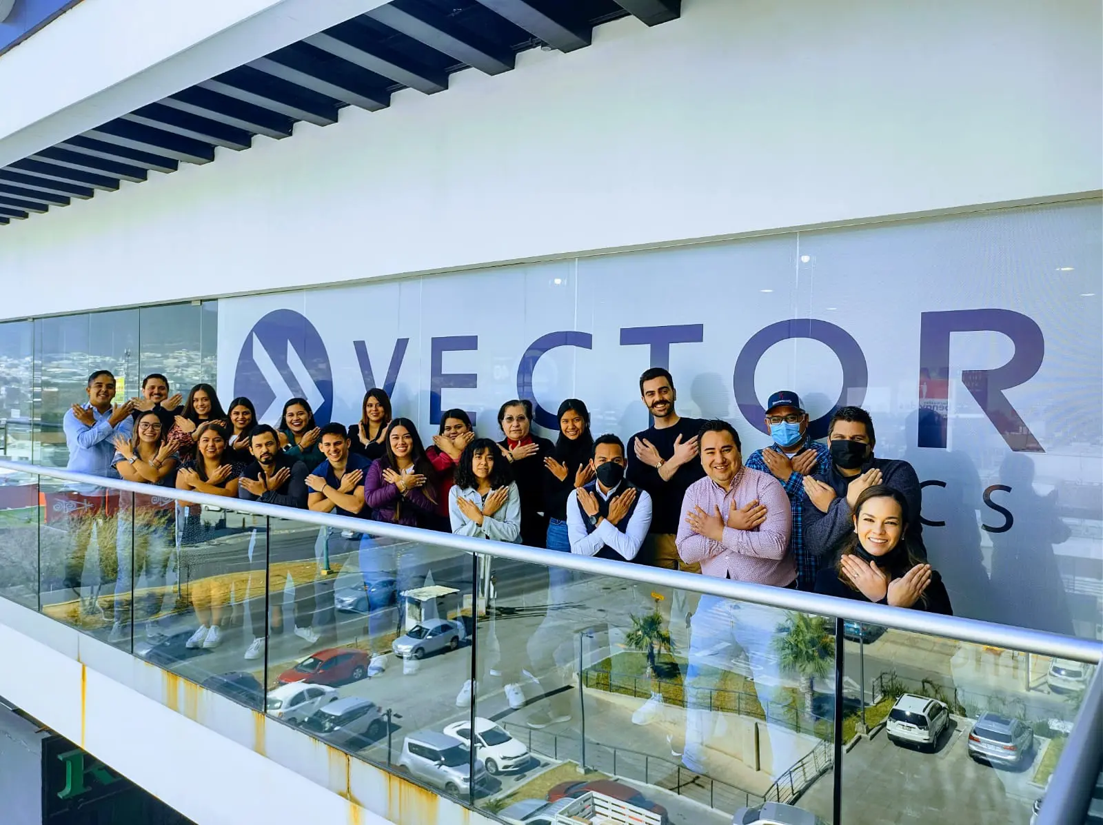 Vector Global Logistics: Logistics Solutions