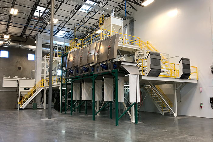 Vegetable Seeds In Bulk industry insight