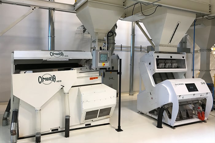 Vegetable Seeds In Bulk industry insight