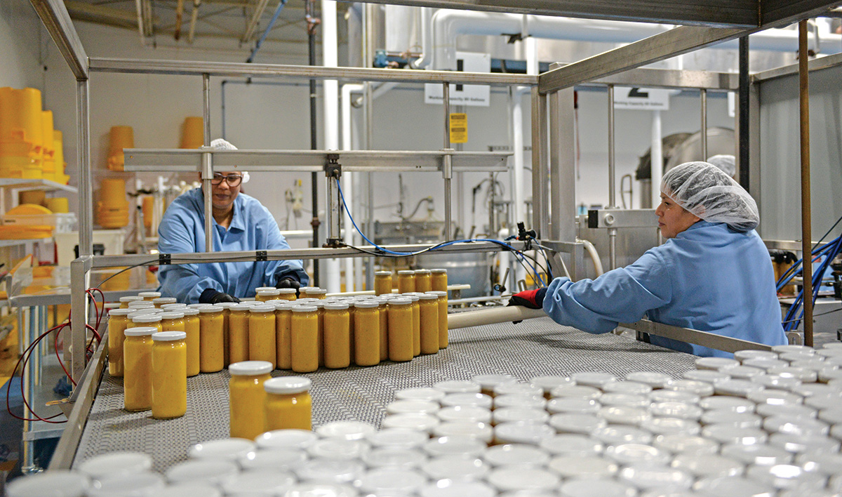 Vegetarian Wholesale Foods industry insight