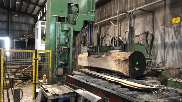 Veneer Saw industry insight