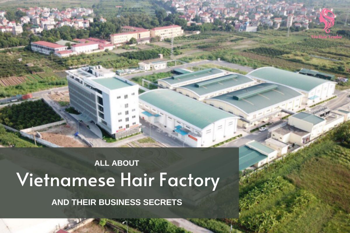 Vietnam Hair Factory