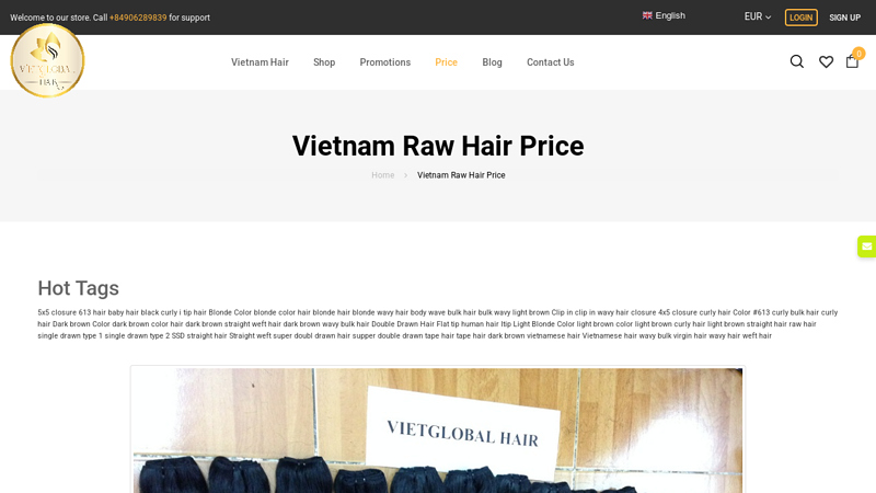 Vietnam raw hair price