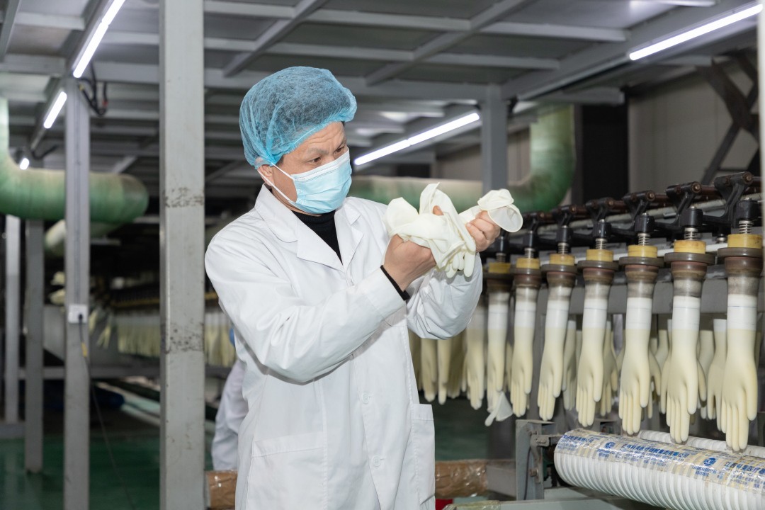 Vinyl Exam Gloves industry insight