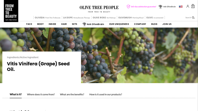 Vitis Vinifera (Grape) Seed Oil