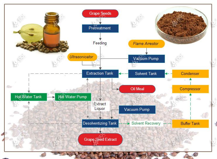 Vitis Vinifera Seed Oil industry insight