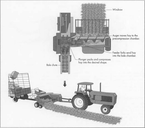Walk Behind Hay Baler industry insight