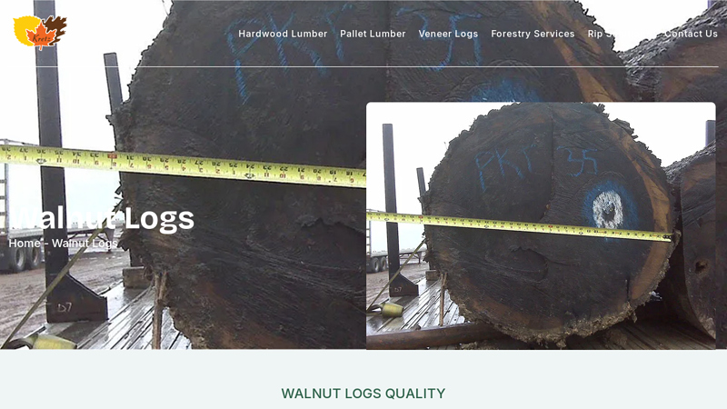 Walnut Logs