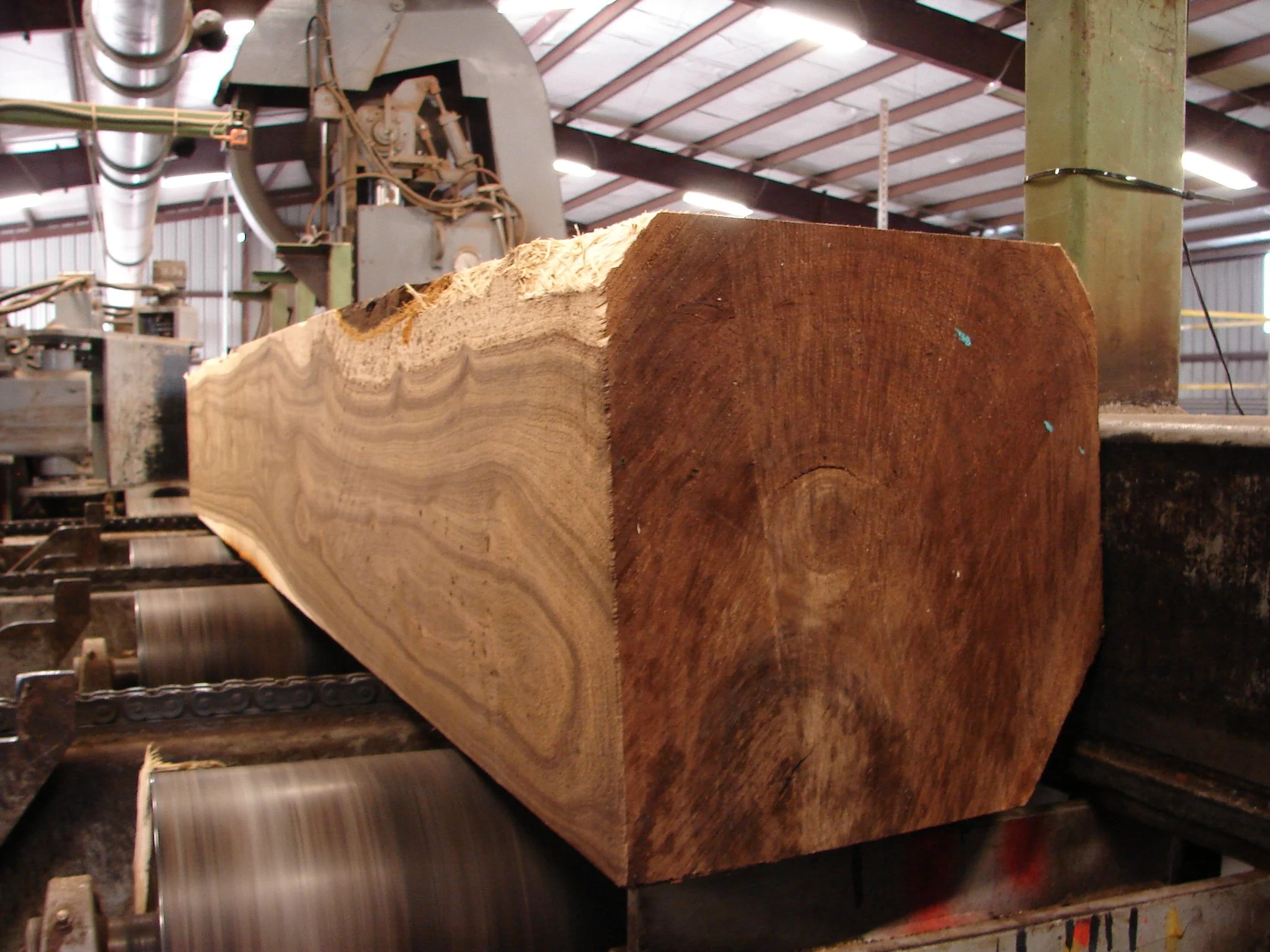 Walnut Tree Wood industry insight