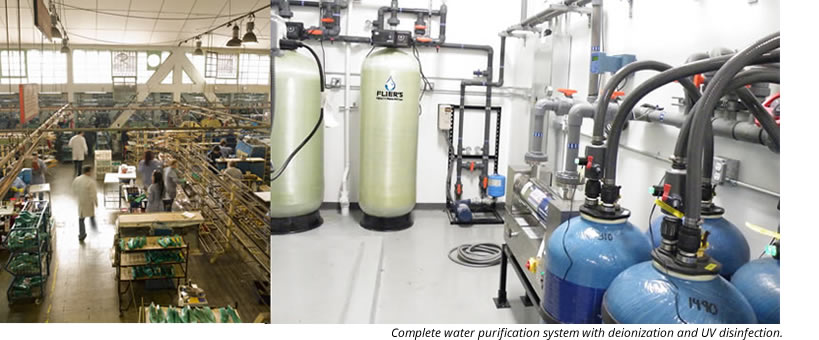 Water Filtration industry insight