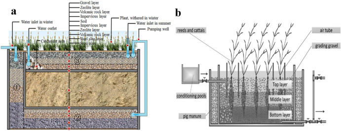 Water Reed industry insight