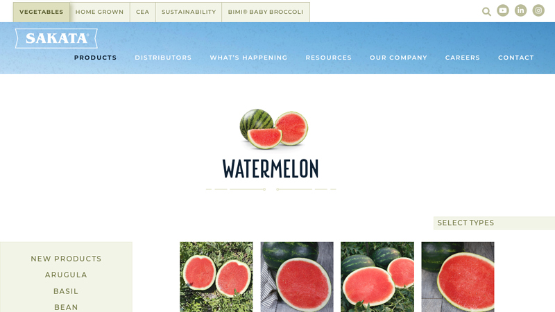 Watermelon