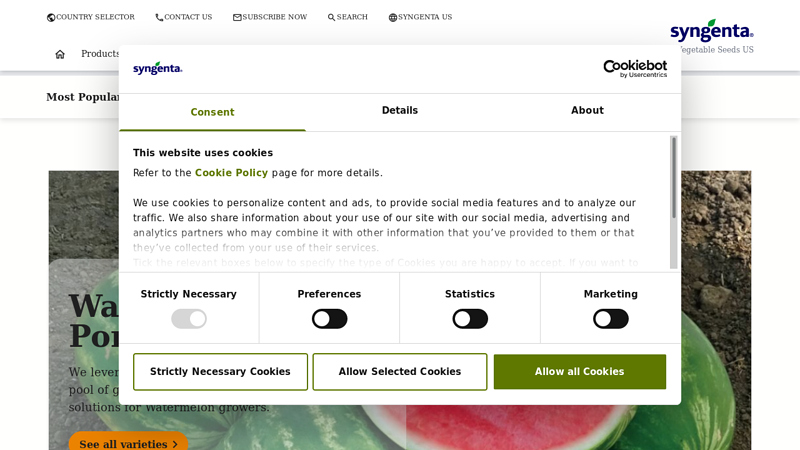 Watermelon Portfolio