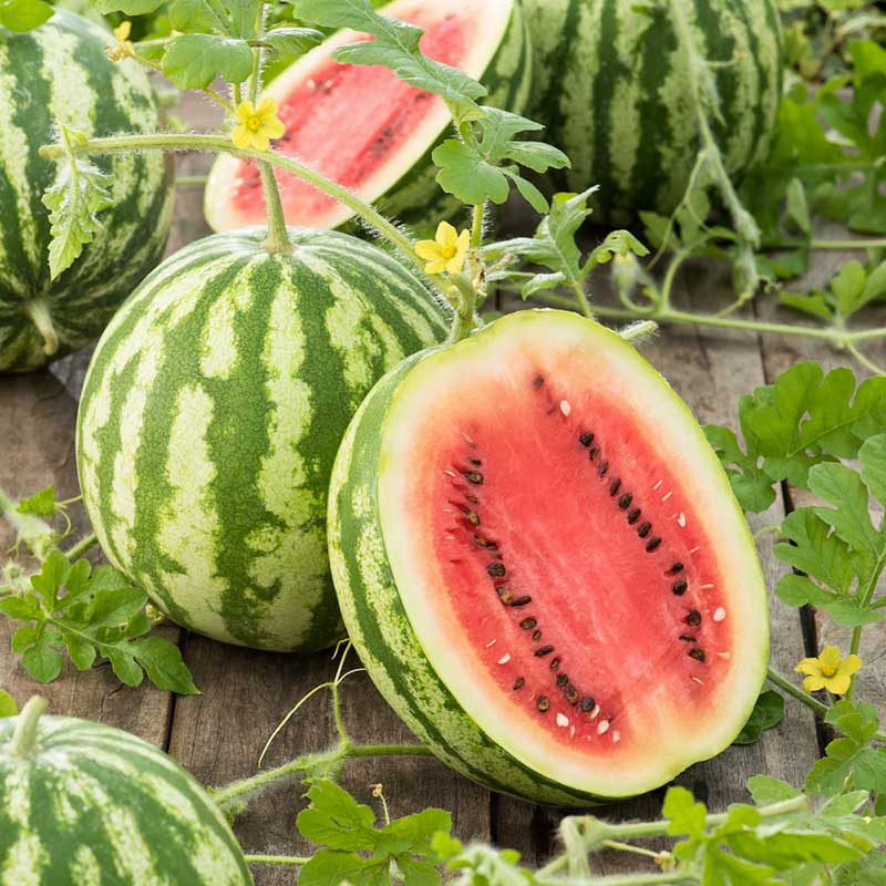 Watermelons