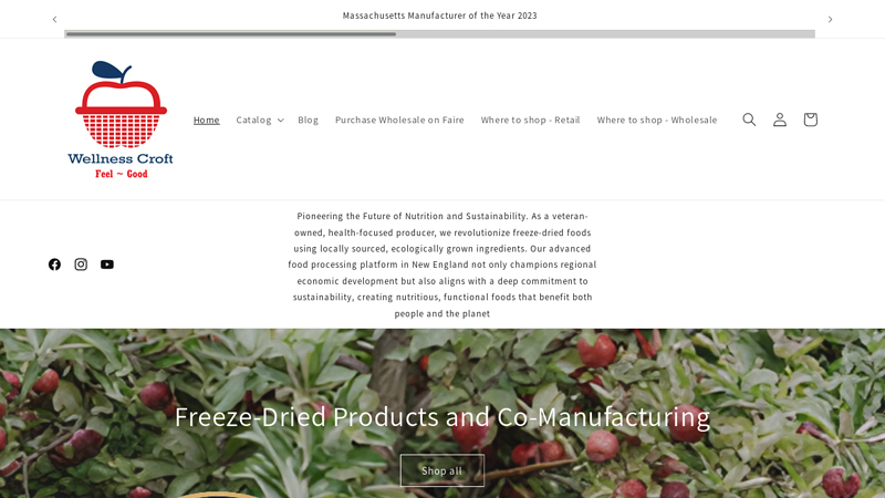 Wellness Croft: Freeze-Dried Fruit Snacks