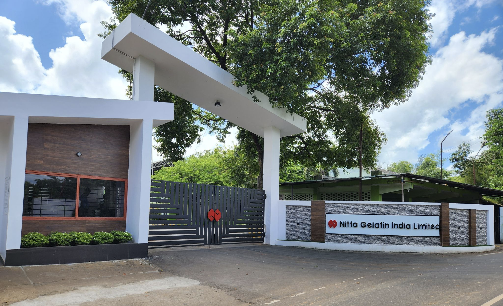 Wellnex Collagen Peptides