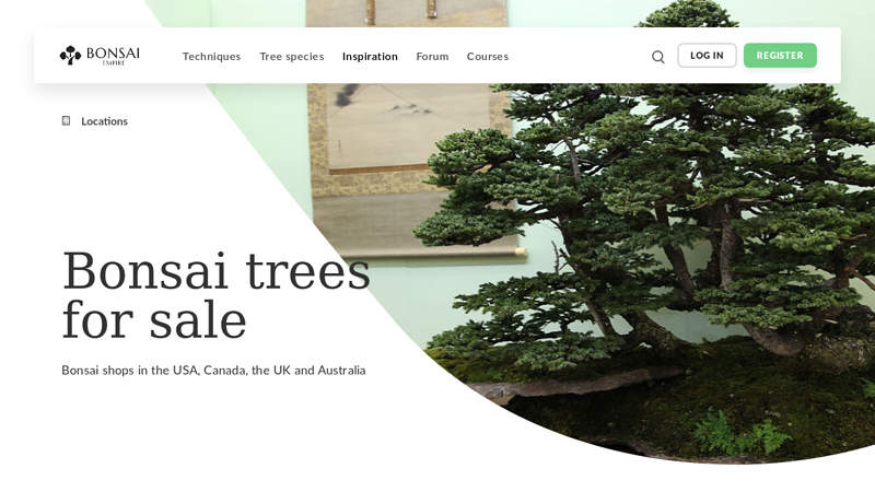 Where to find Bonsai trees for sale