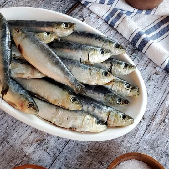 Whole Spanish Sardines