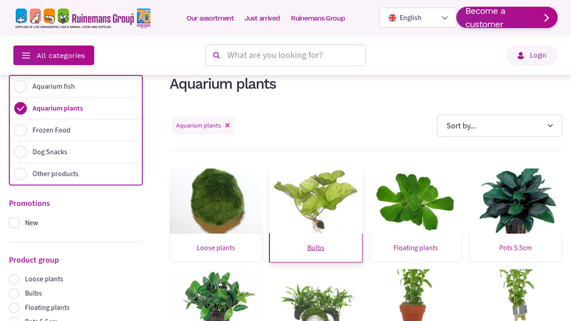 Wholesale aquarium plants