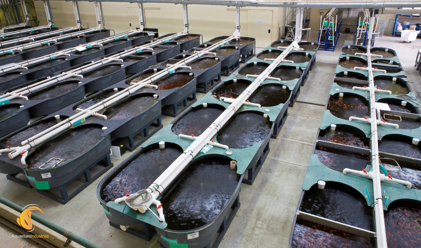 Wholesale Aquarium Products industry insight