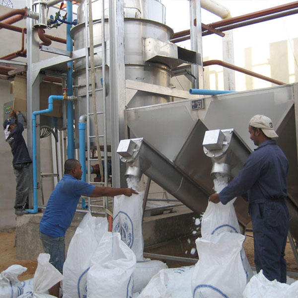 Wholesale Bags Of Ice industry insight