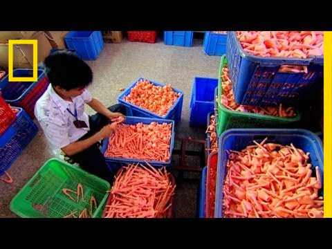 Wholesale Barbie Dolls industry insight