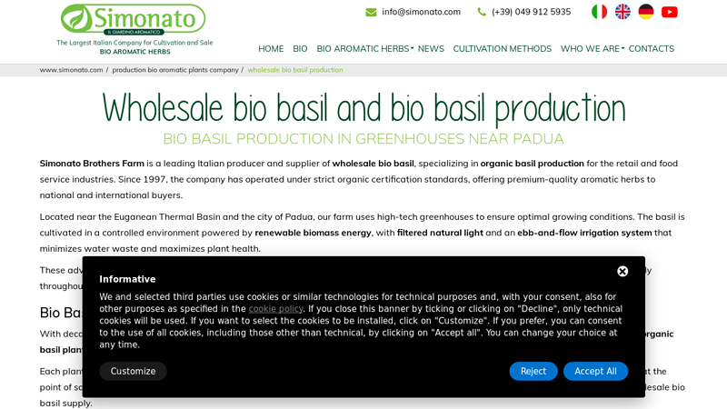 Wholesale bio Basil and bio basil production