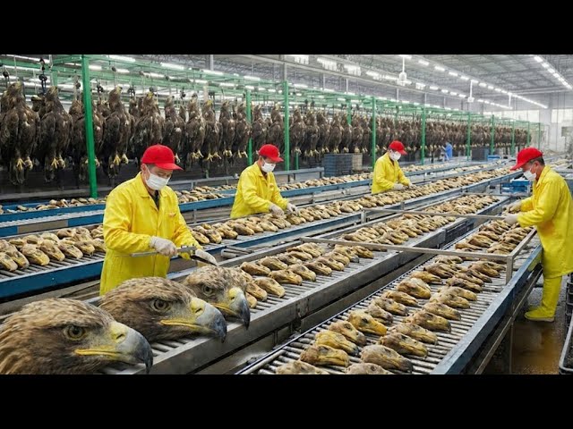 Wholesale Bird Supplies industry insight