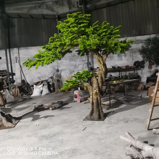 Wholesale Bonsai Trees industry insight