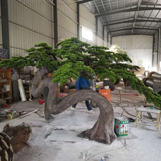 Wholesale Bonsai Trees industry insight