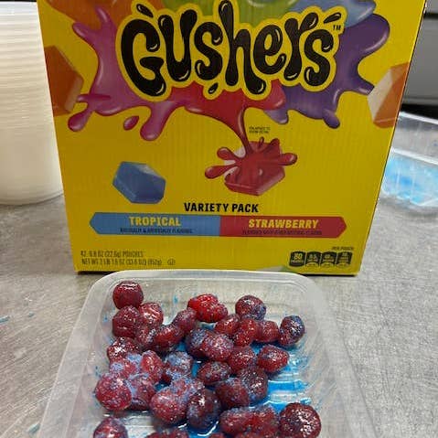 Wholesale bulk gushers for your store