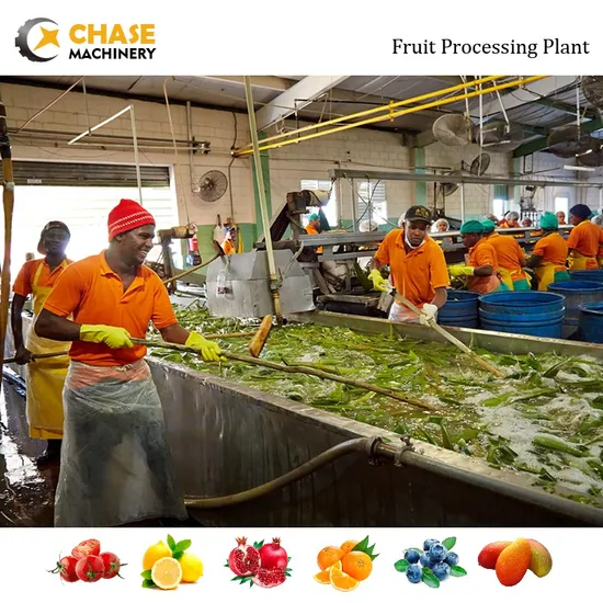 Wholesale Cactus industry insight