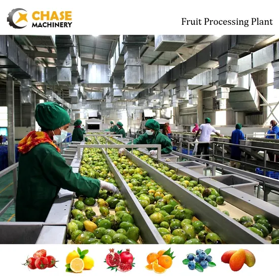 Wholesale Cactus industry insight