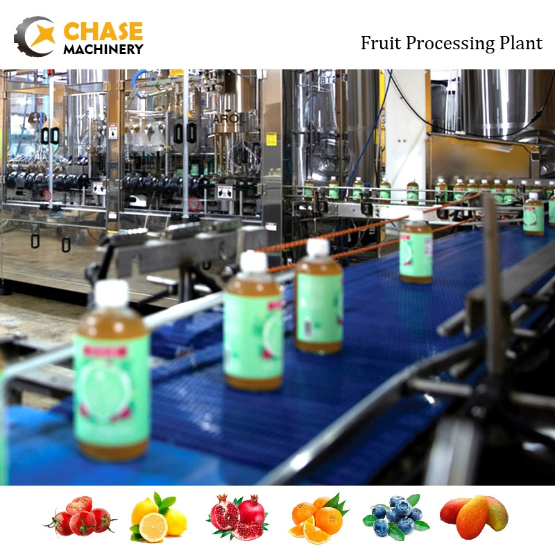 Wholesale Cactus industry insight