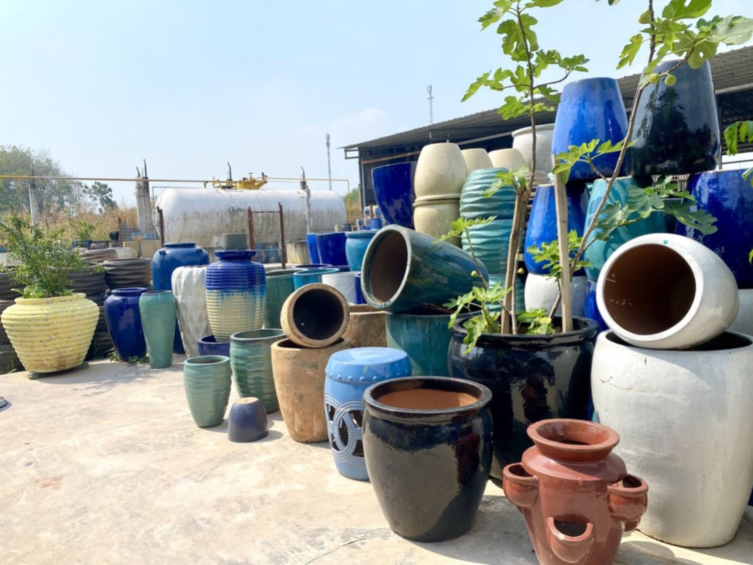 Wholesale Ceramic Plant Pots industry insight