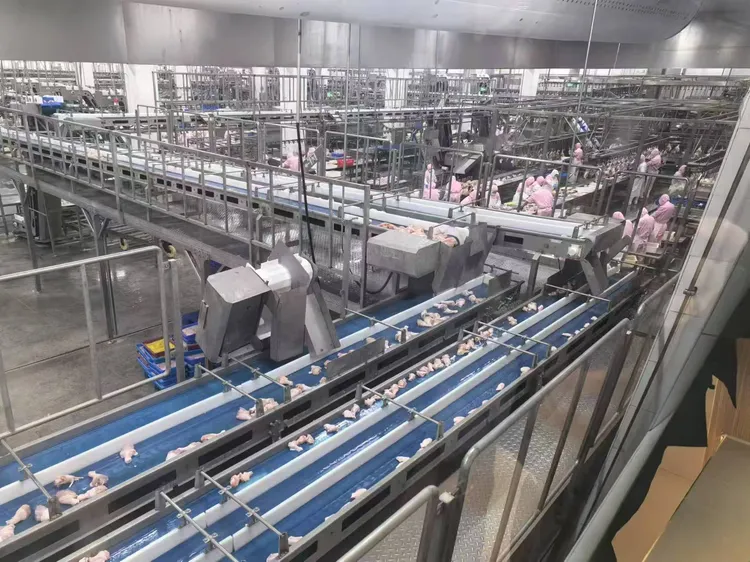 Wholesale Chicken Wings Distributors industry insight