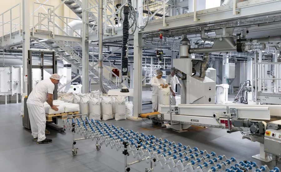 Wholesale Cocoa industry insight